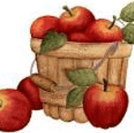 Apples in basket